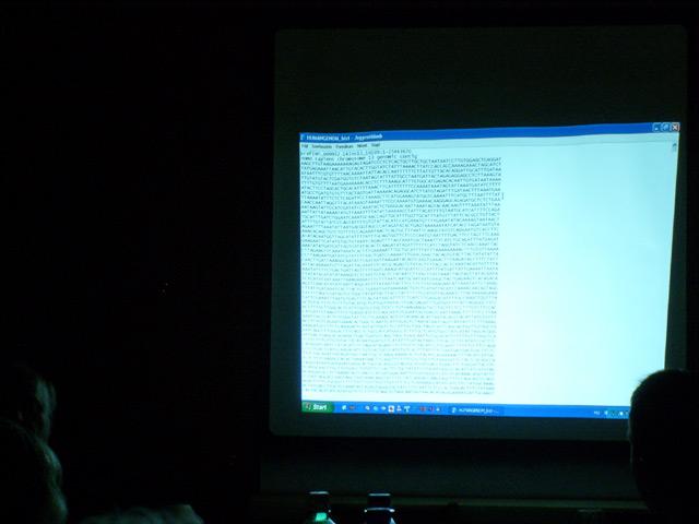 Galaktika Nap 2008