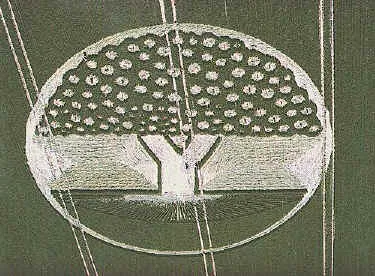 The Field Guide: The Art, History &amp; Philosophy of Crop Circle Making